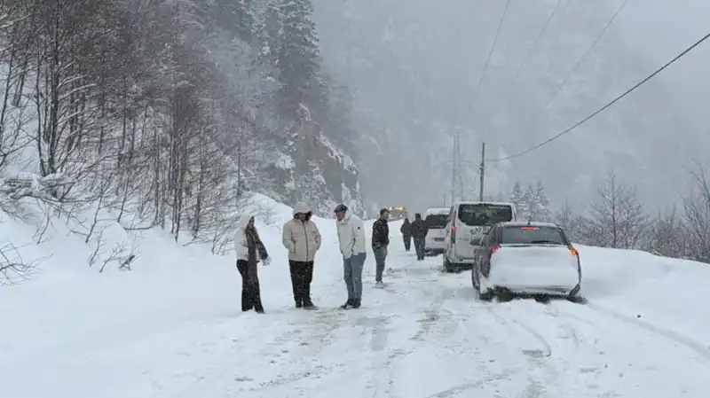 Trabzon'da Çığ Felaketi: Karayolu Ulaşımı Tamamen Kapandı